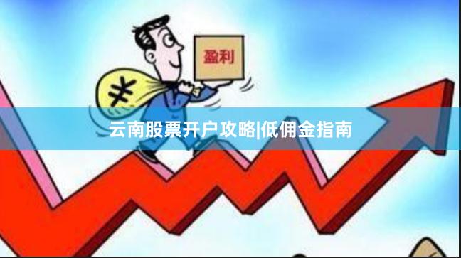 云南股票开户攻略|低佣金指南